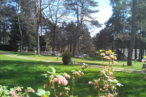 Camping Les Sapins de Corrèze